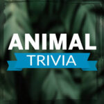 Animal Trivia