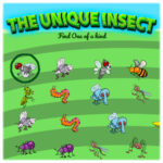 The Unique Insect