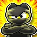 Angry Ninja Hero