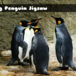 King Penguin Jigsaw